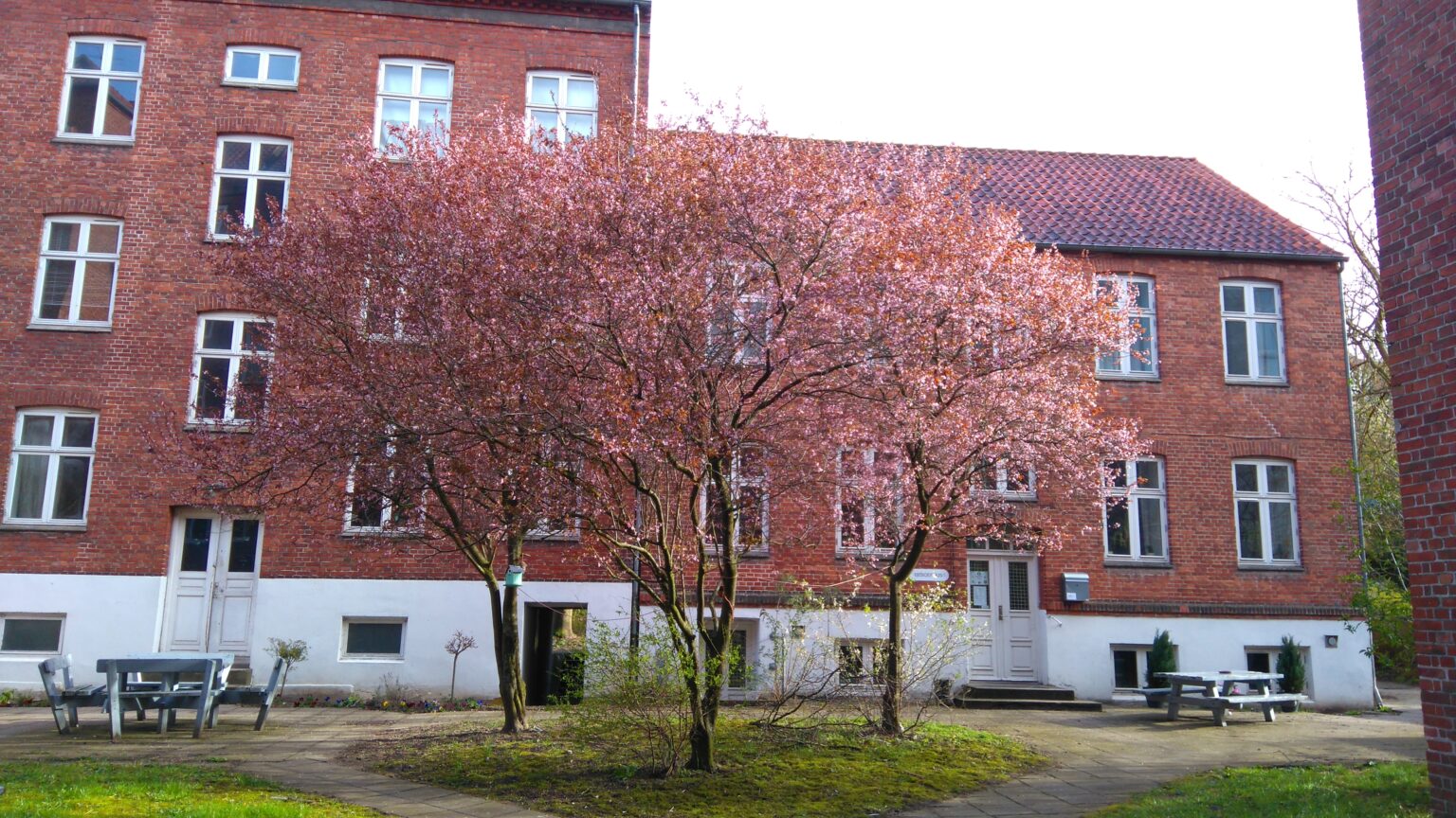 Beboerhuset set fra gården med blomstrende træer